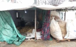 Depremzede Tütün İşçisi: Ankara’da Tedavi Olacak, Param Yok ki Göndereyim