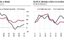 TCMB: Yıllık enflasyon temel mal ve enerjide yükseldi
