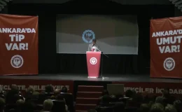 TİP, Ankara’da yerel seçim adaylarını tanıttı